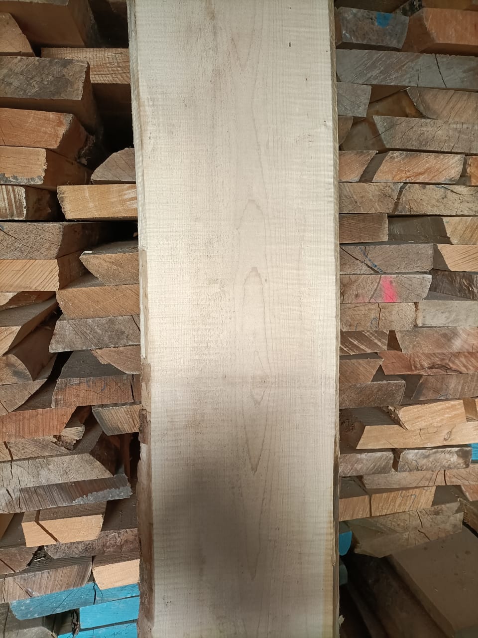 WhatsApp Image 2026-03-08 at 23.25.18